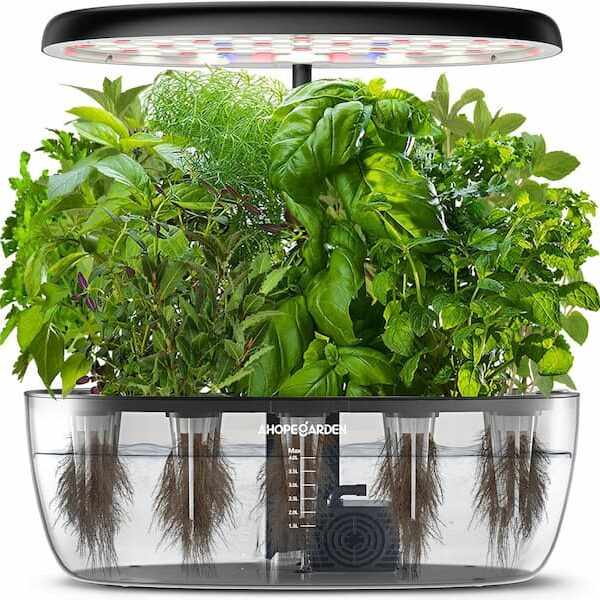 Hydroponics Growing System